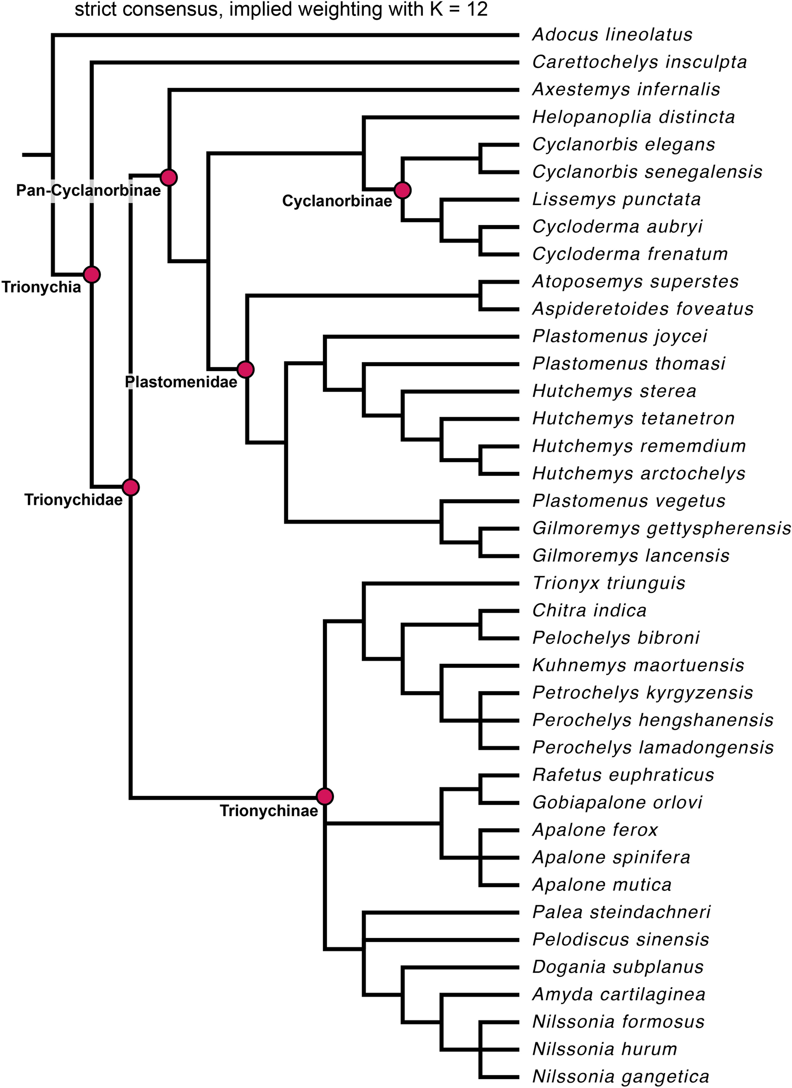 Fig. 13