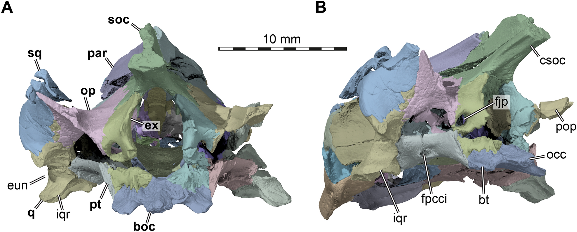 Fig. 8