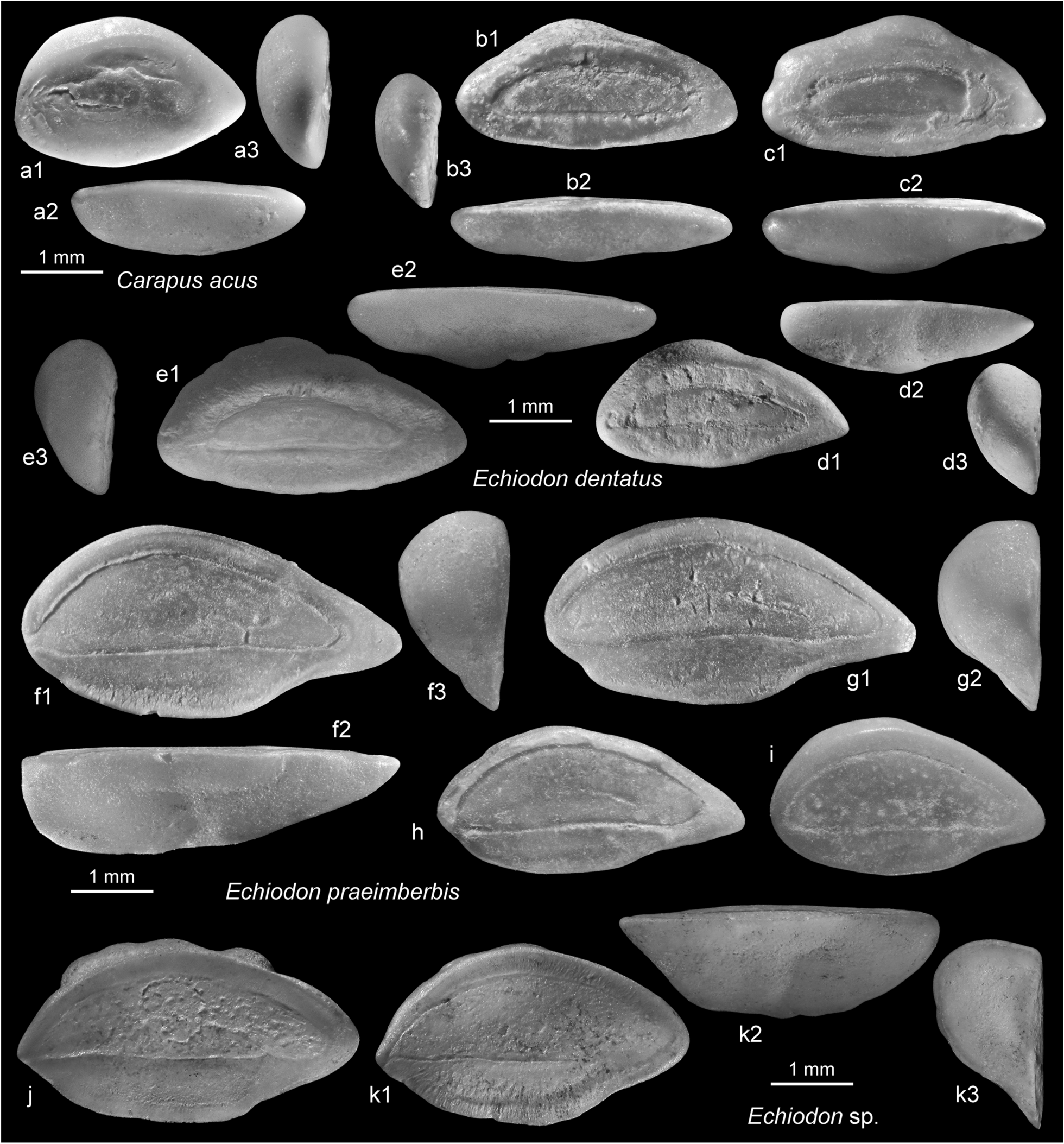 Fig. 15