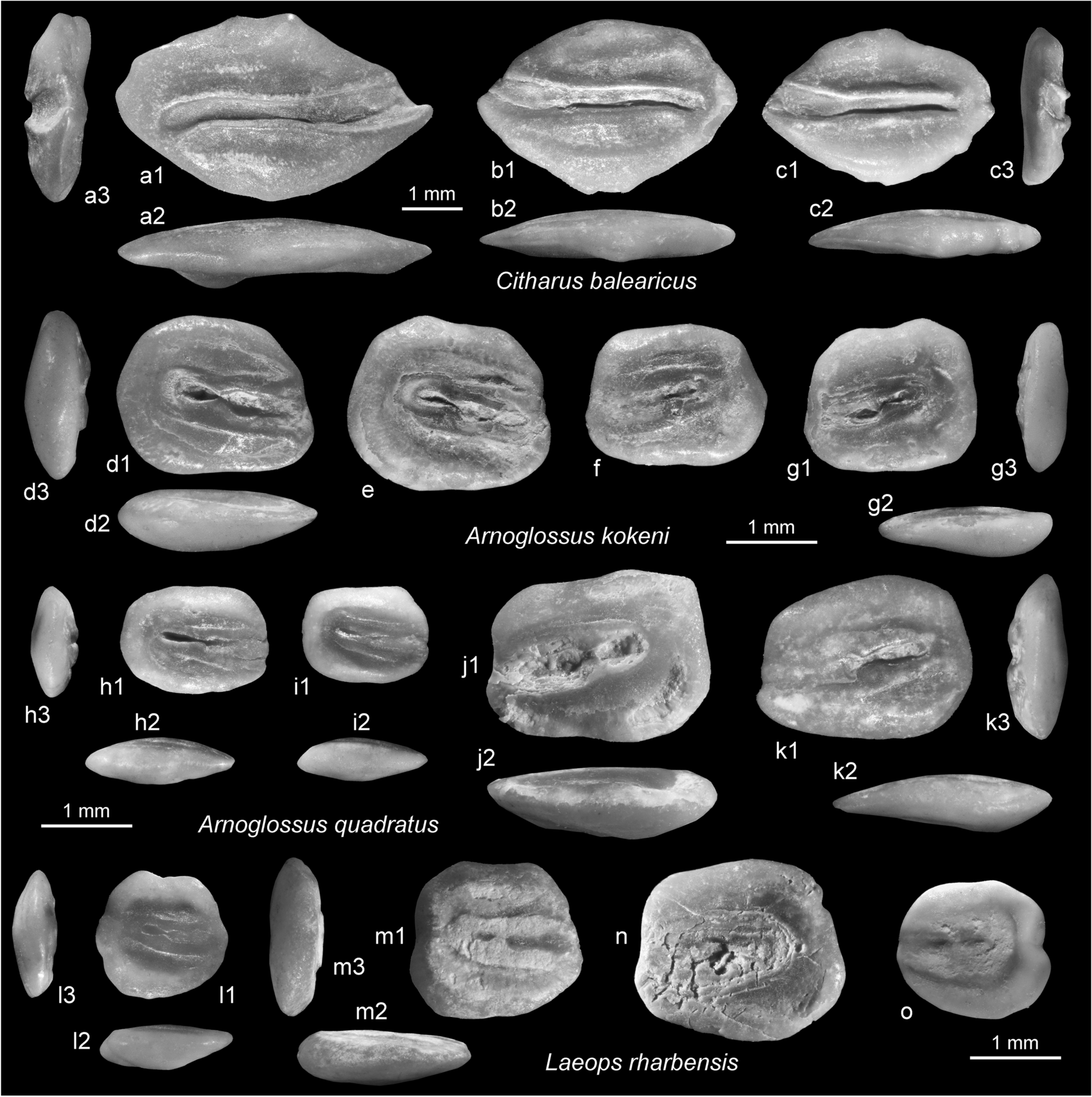 Fig. 20