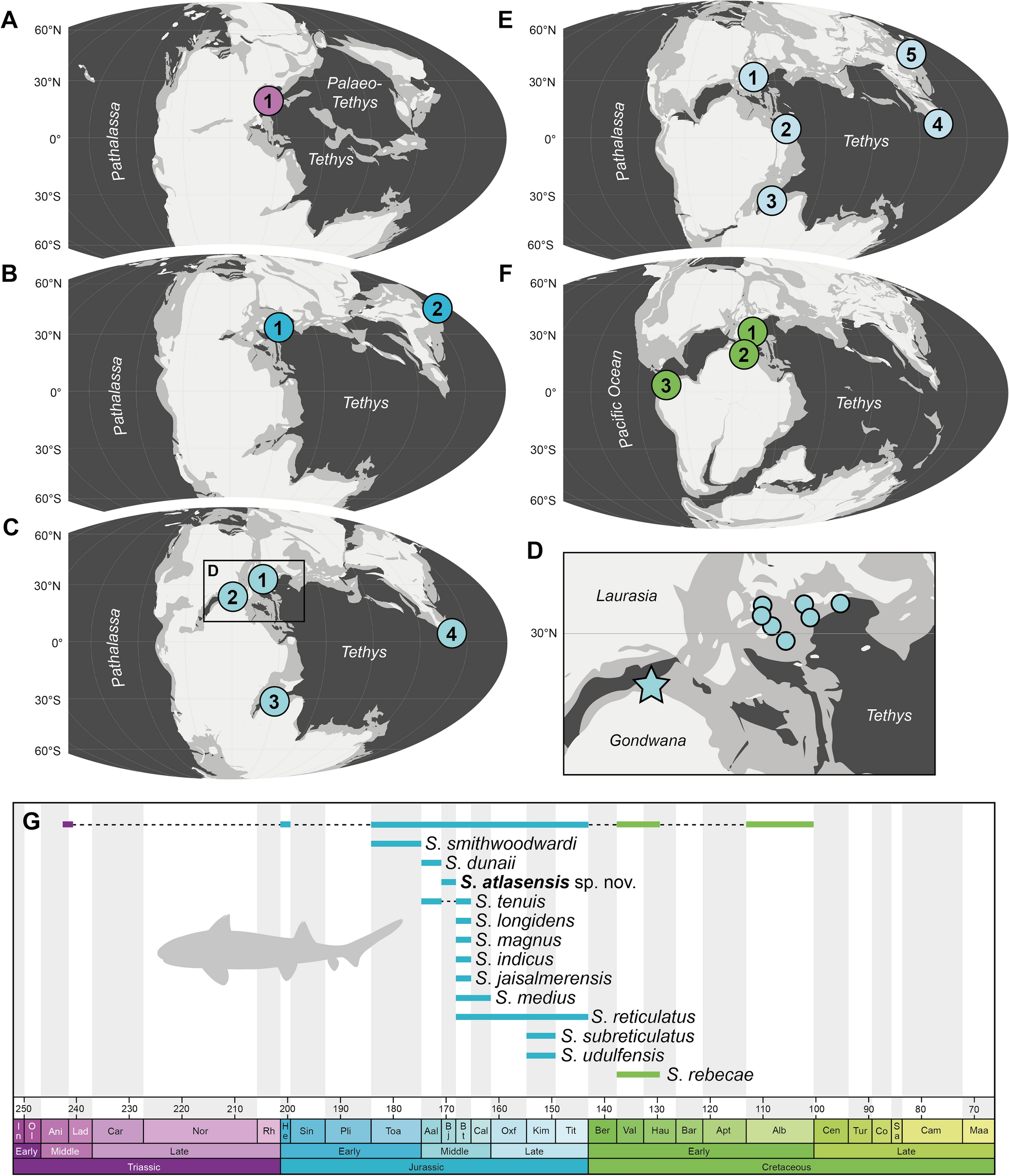 Fig. 4