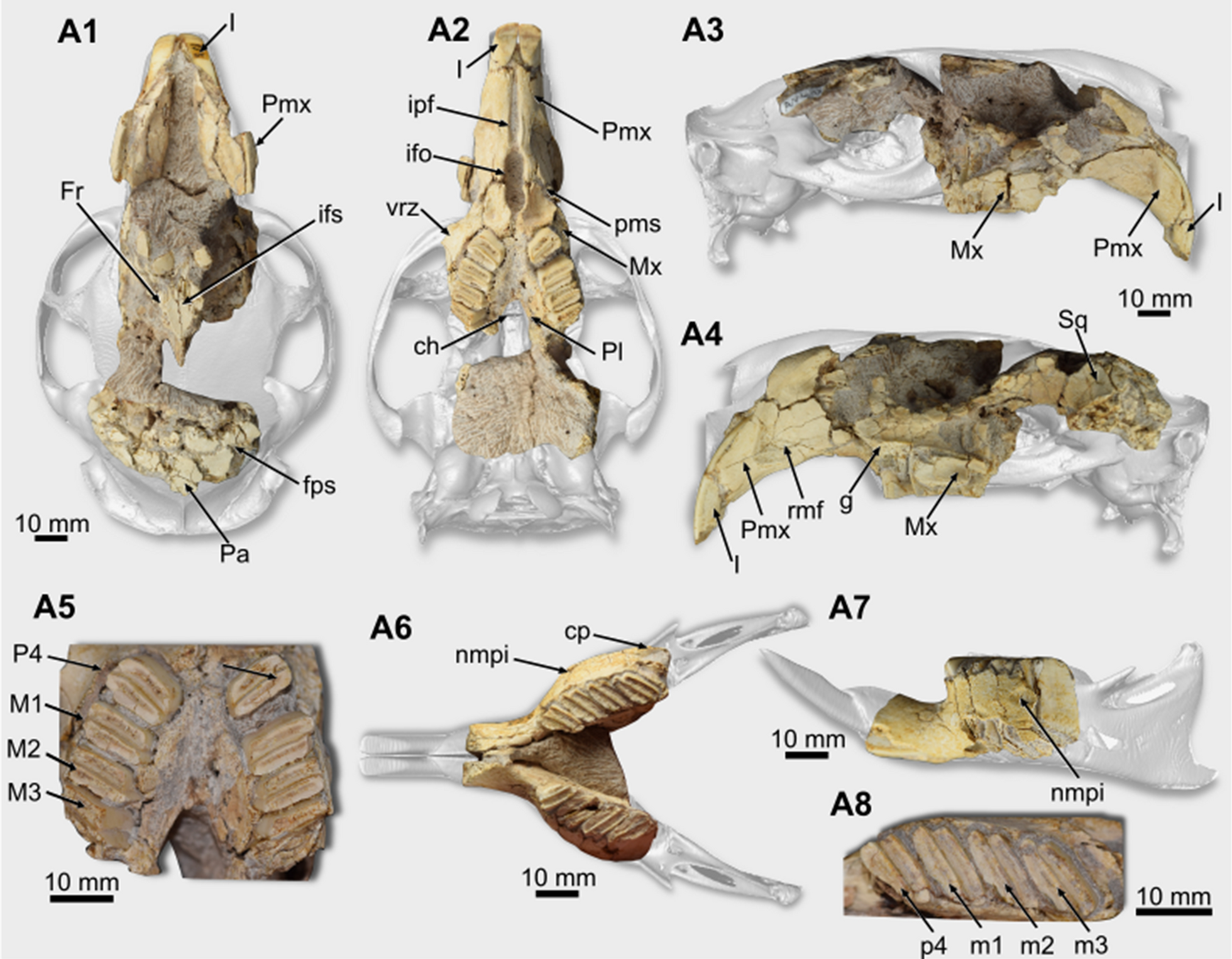 Fig. 1