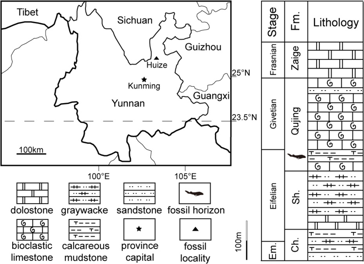 古代魚の化石から3億年前の脊椎動物の進化が明らかに(Ancient Fish Fossil Reveals Vertebrate Evolution from 300 Million Years Ago)