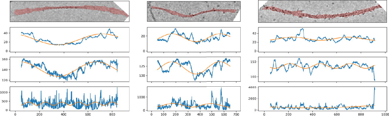 Figure 4