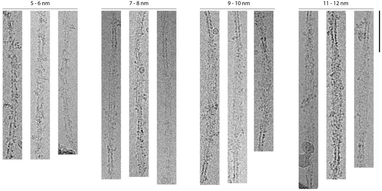 Figure 7