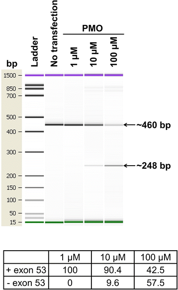 Fig. 6