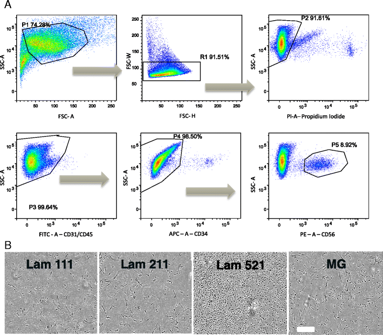 Fig. 7