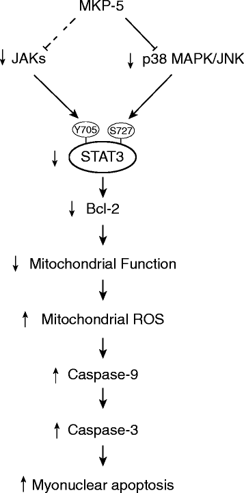 Fig. 8