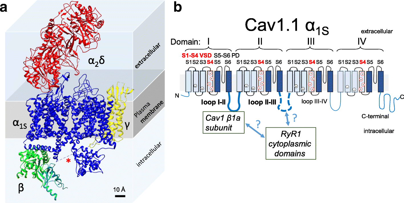 Fig. 10