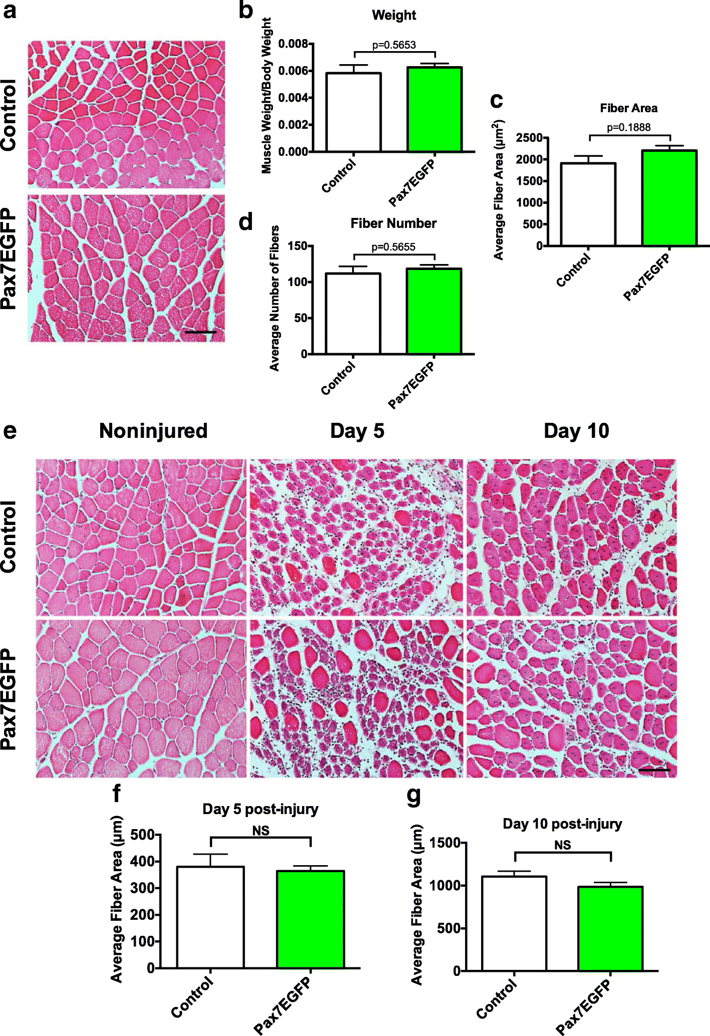 Fig. 5