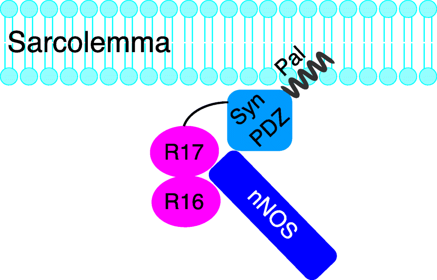 Fig. 5