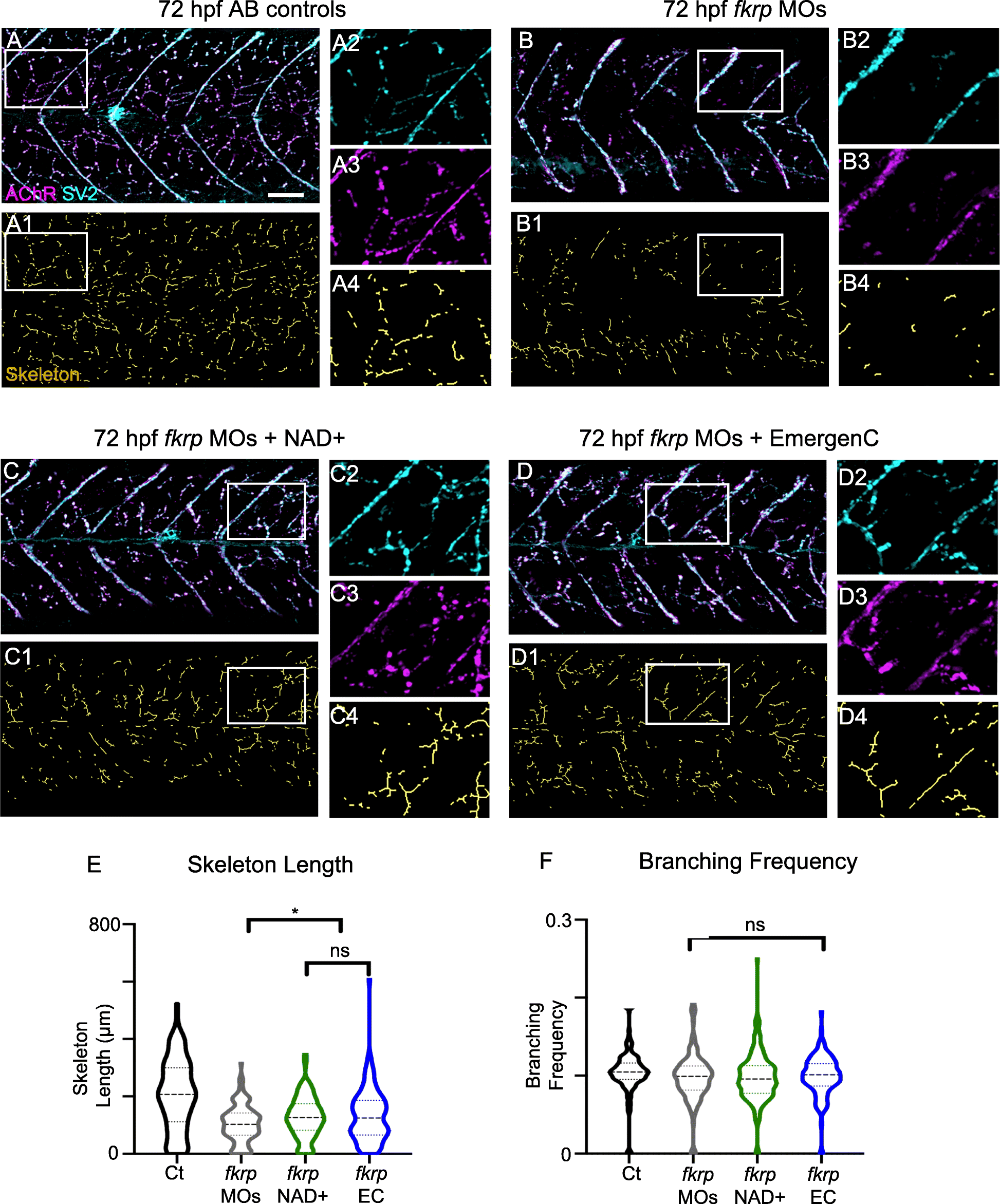 Fig. 5