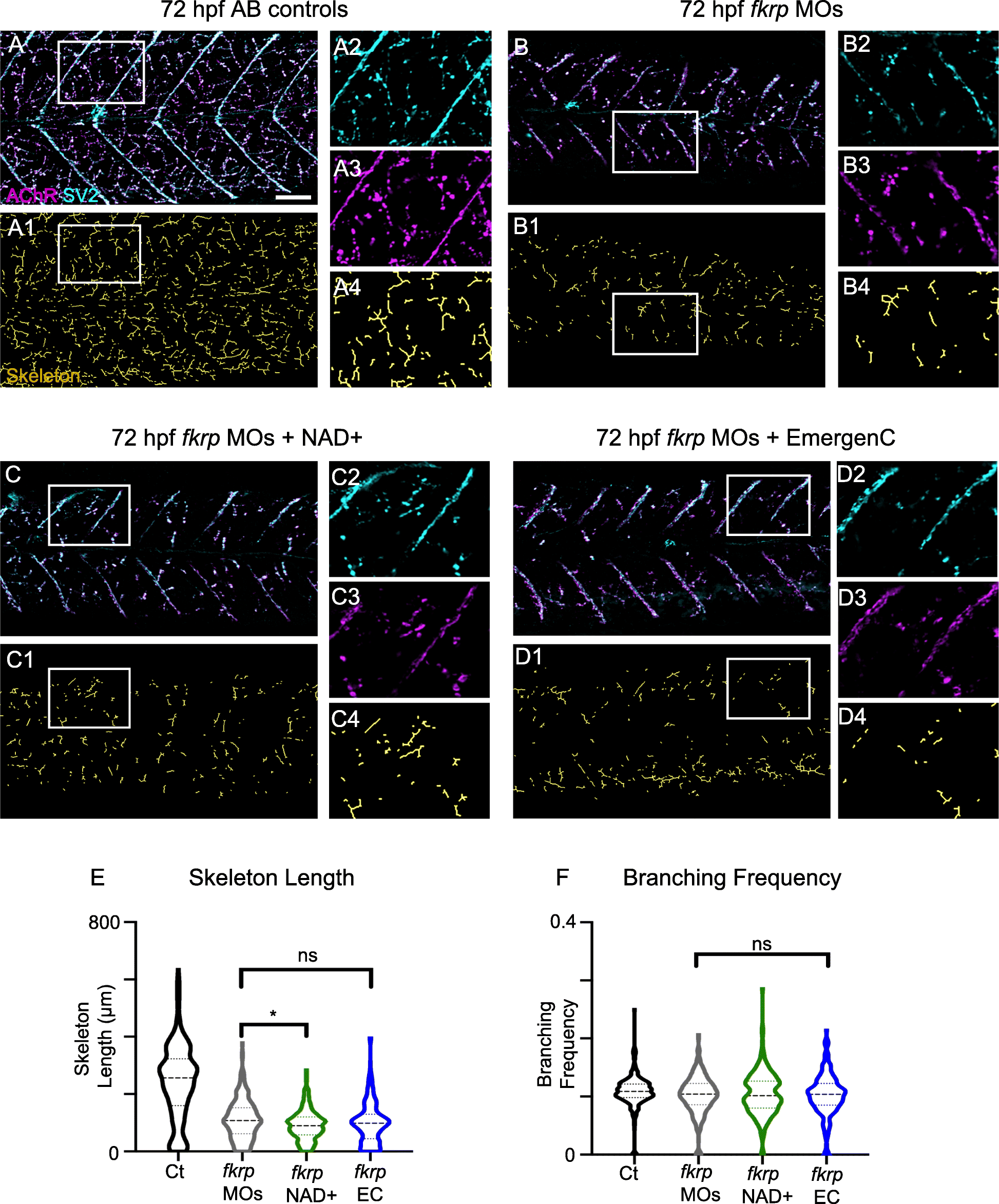 Fig. 7