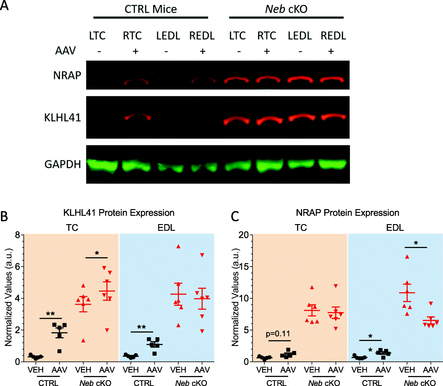 Fig. 9