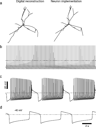 Fig. 6