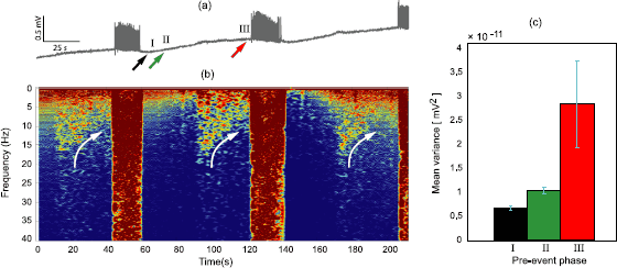 Fig. 9