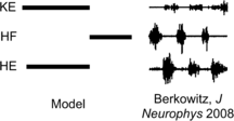 Fig. 10