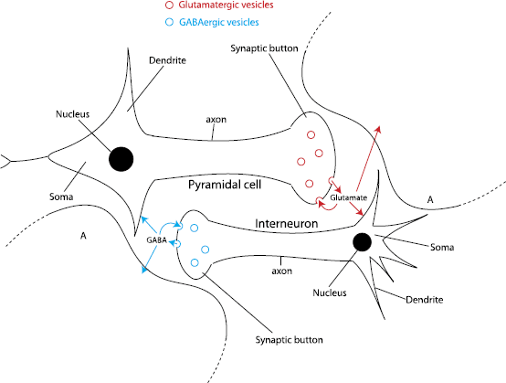 Fig. 1