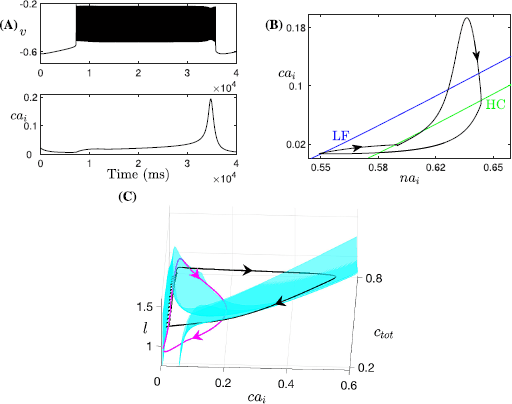 Fig. 12