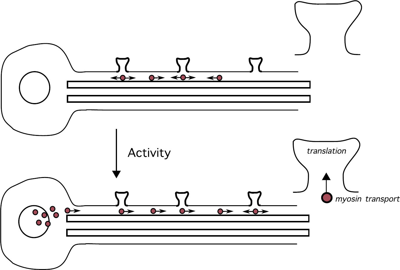 Fig. 13