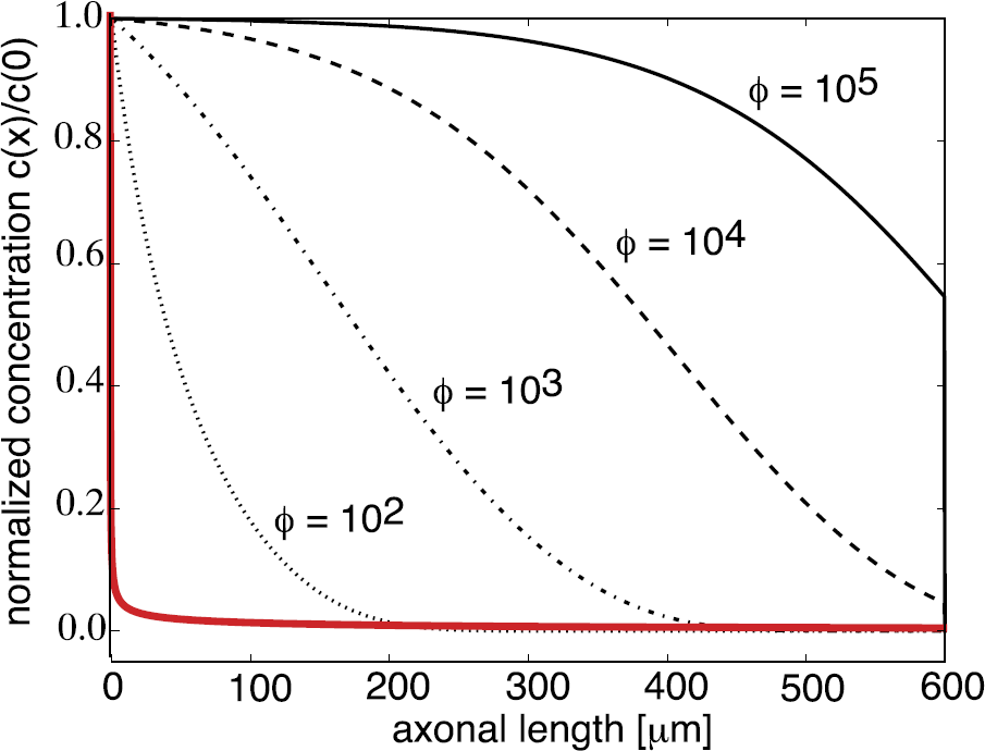 Fig. 19