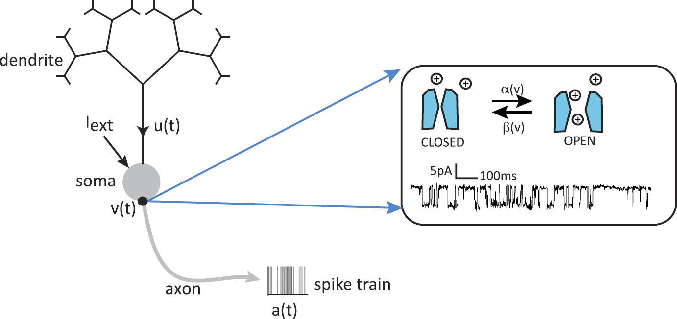 Fig. 3