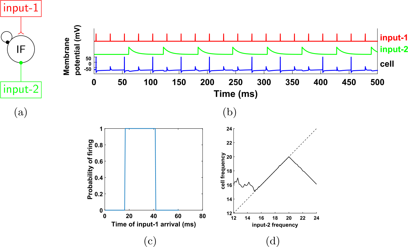 Figure 25