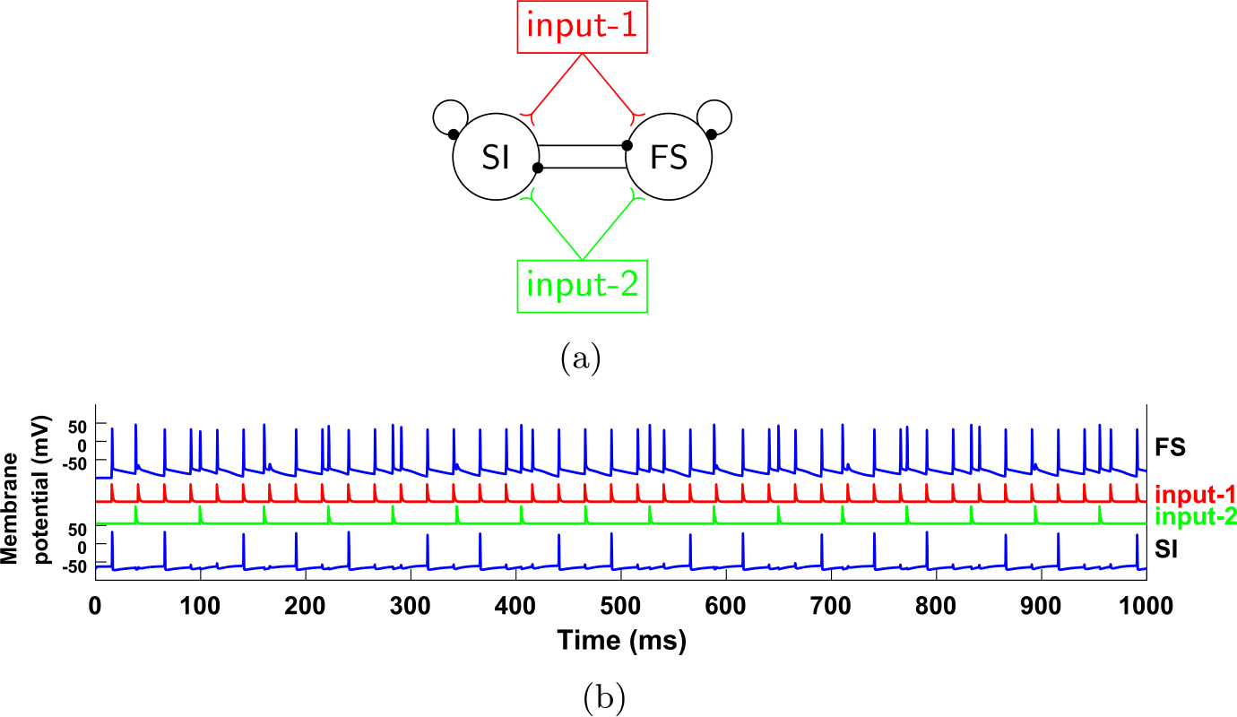 Figure 5