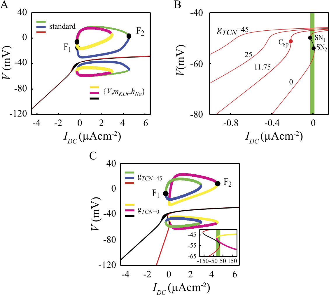 Figure 7