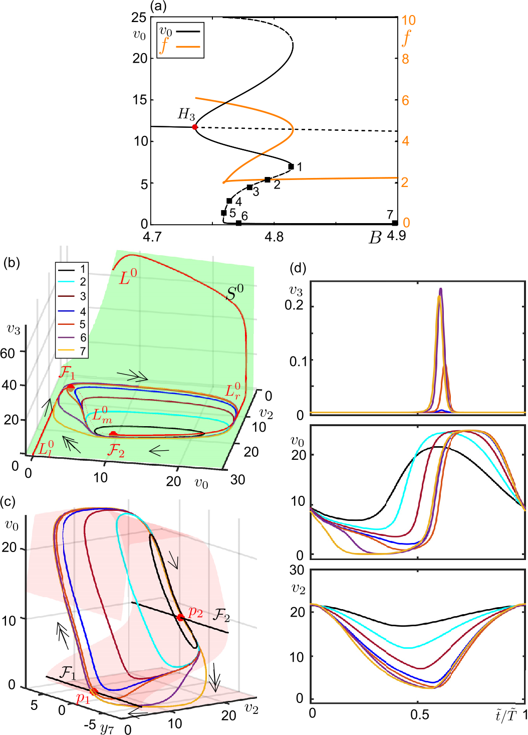 Figure 6