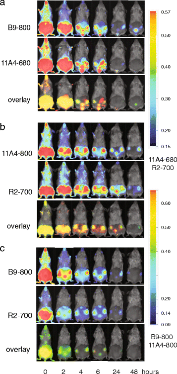 Fig. 2