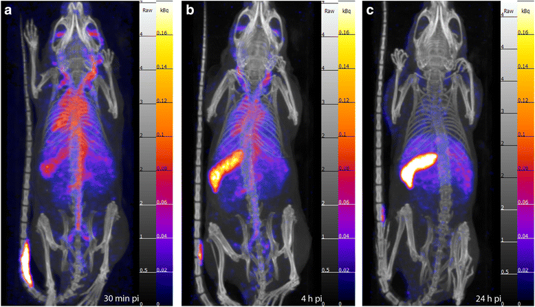 Fig. 6