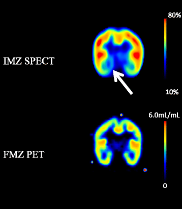 Fig. 5