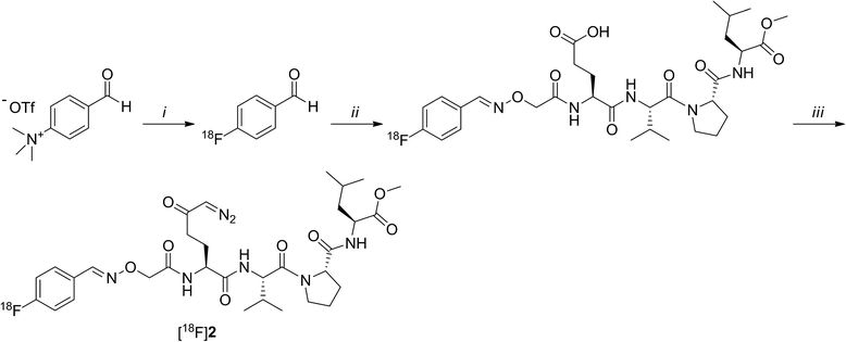 Scheme 2