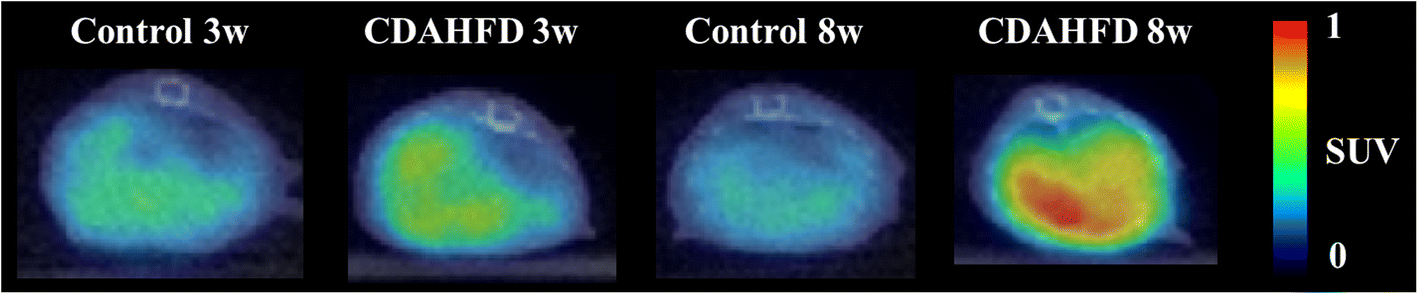 Fig. 2