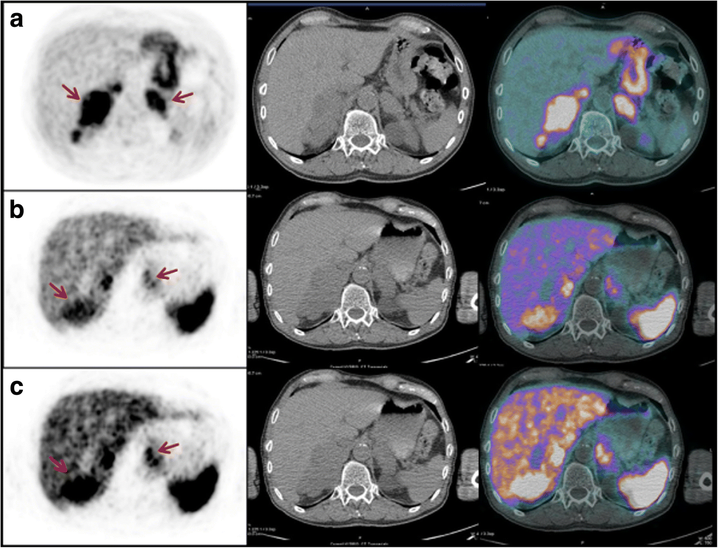 Fig. 2