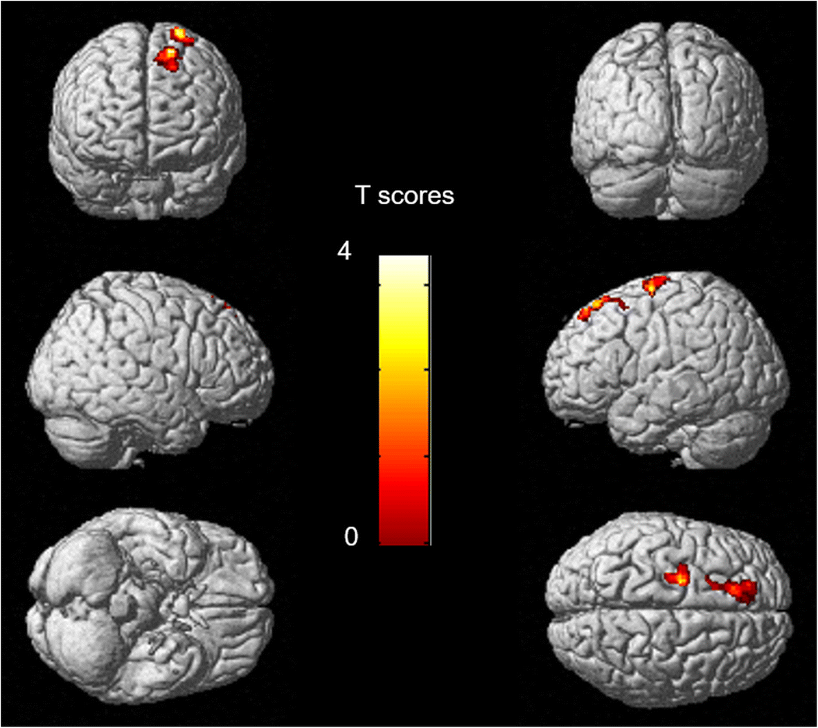 Fig. 3