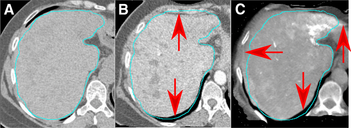 Fig. 7