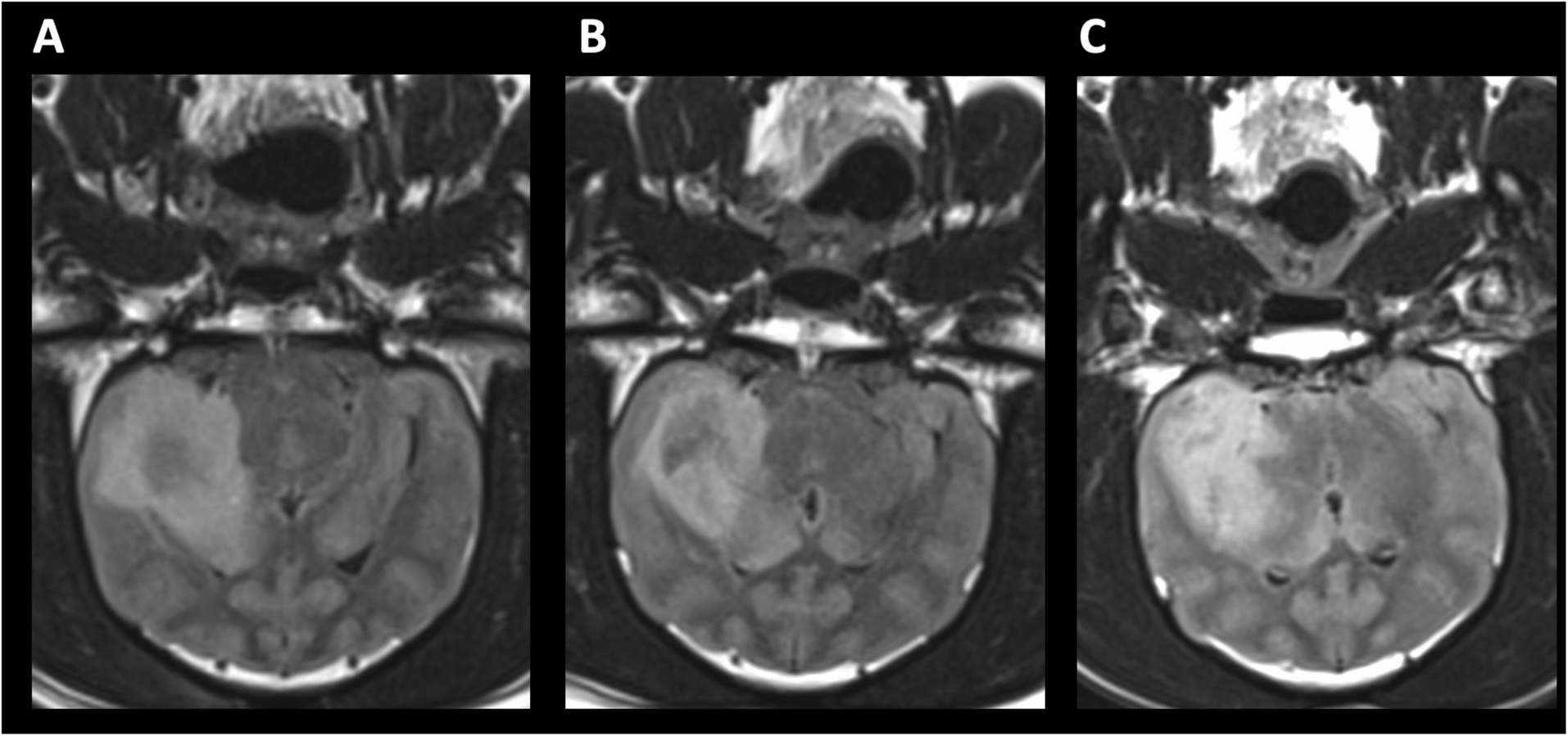 Fig. 8