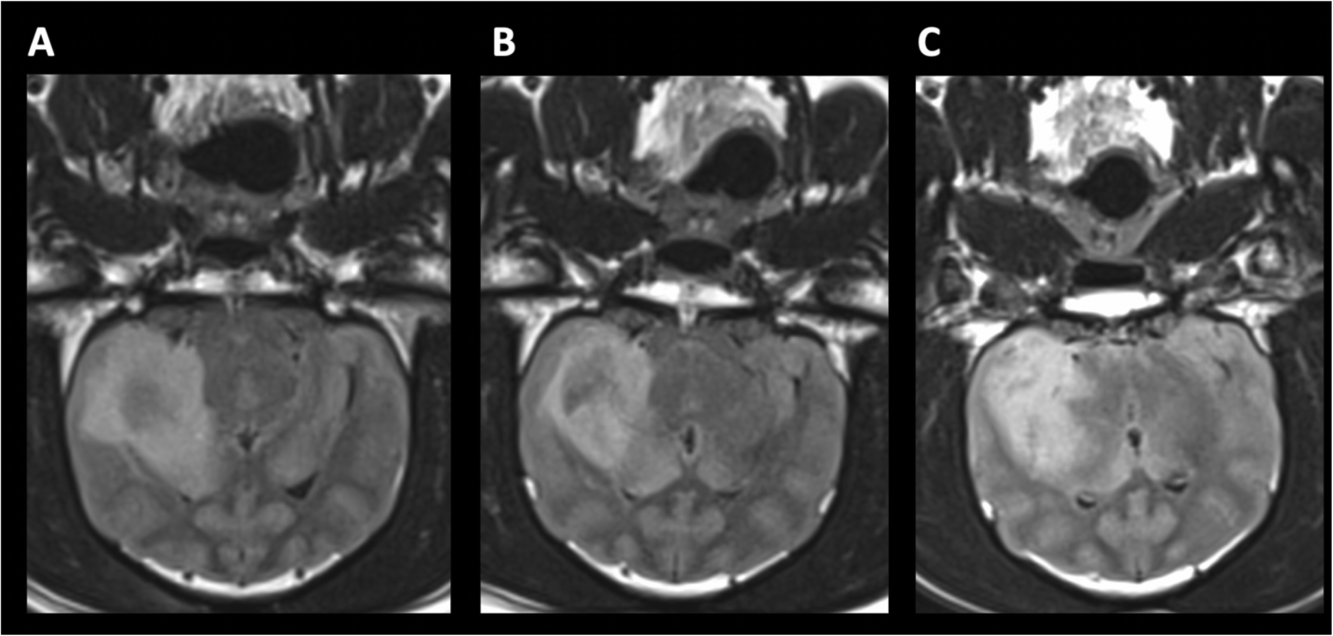 Fig. 8