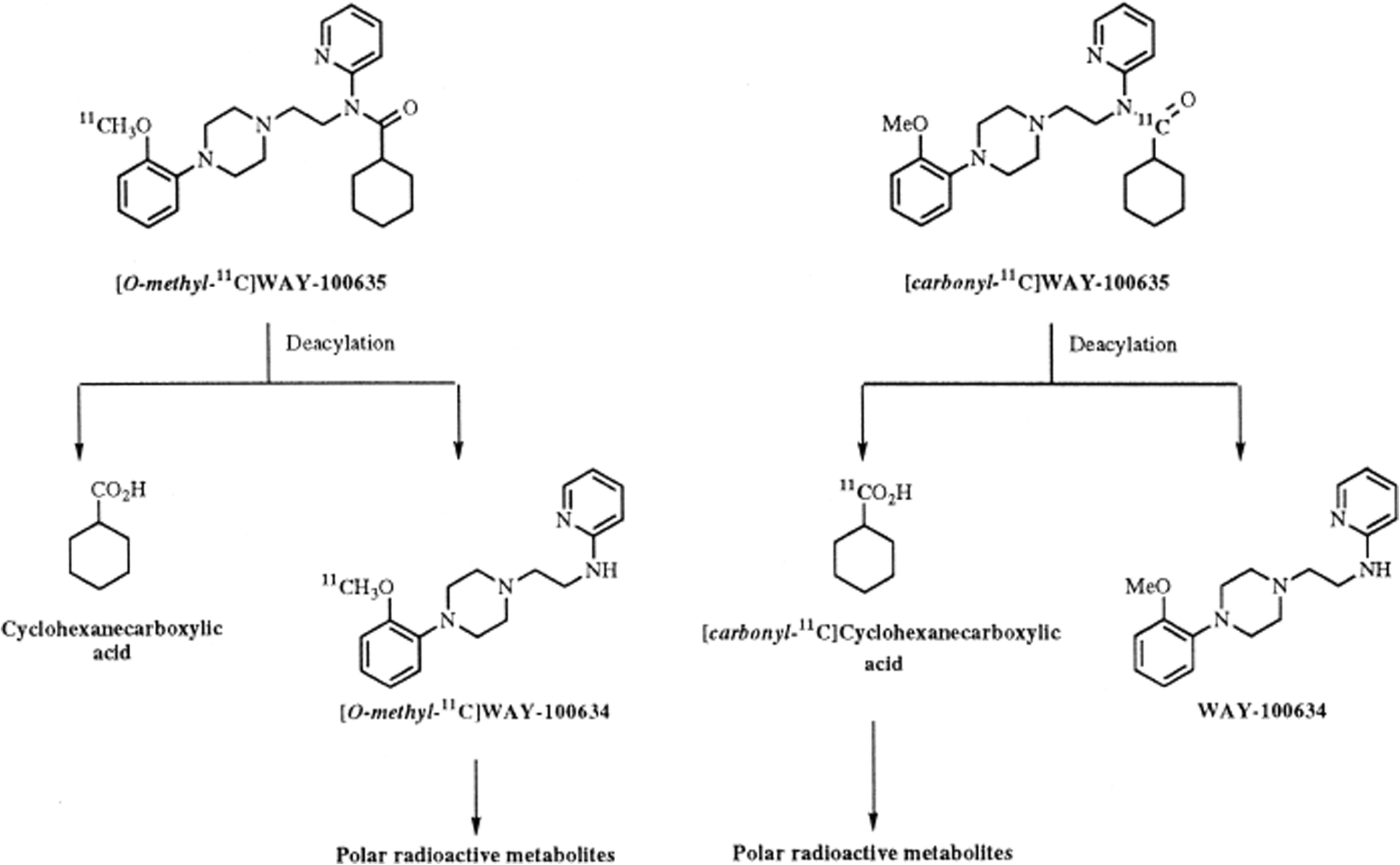 Fig. 11