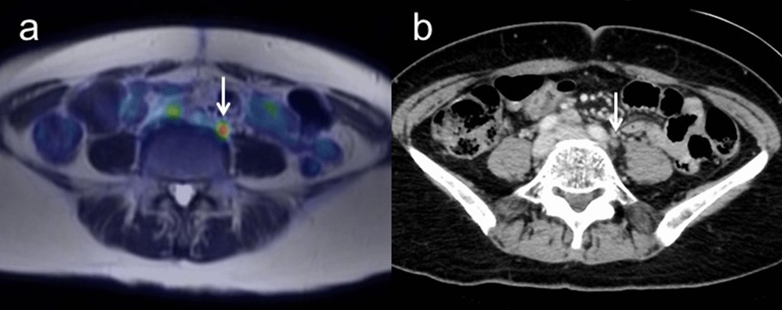 Fig. 6