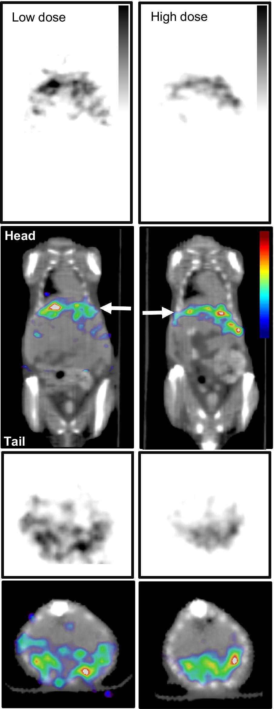 Fig. 7