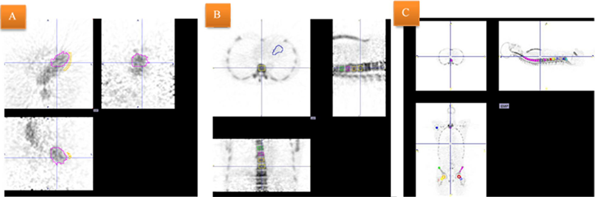 Fig. 4