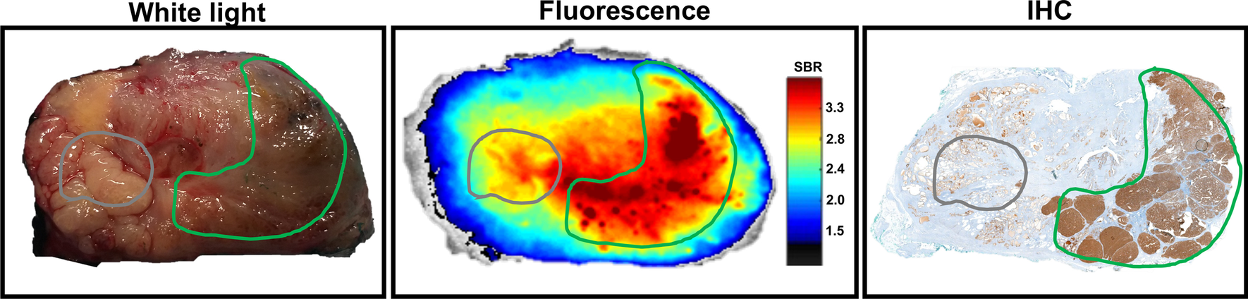 Fig. 3