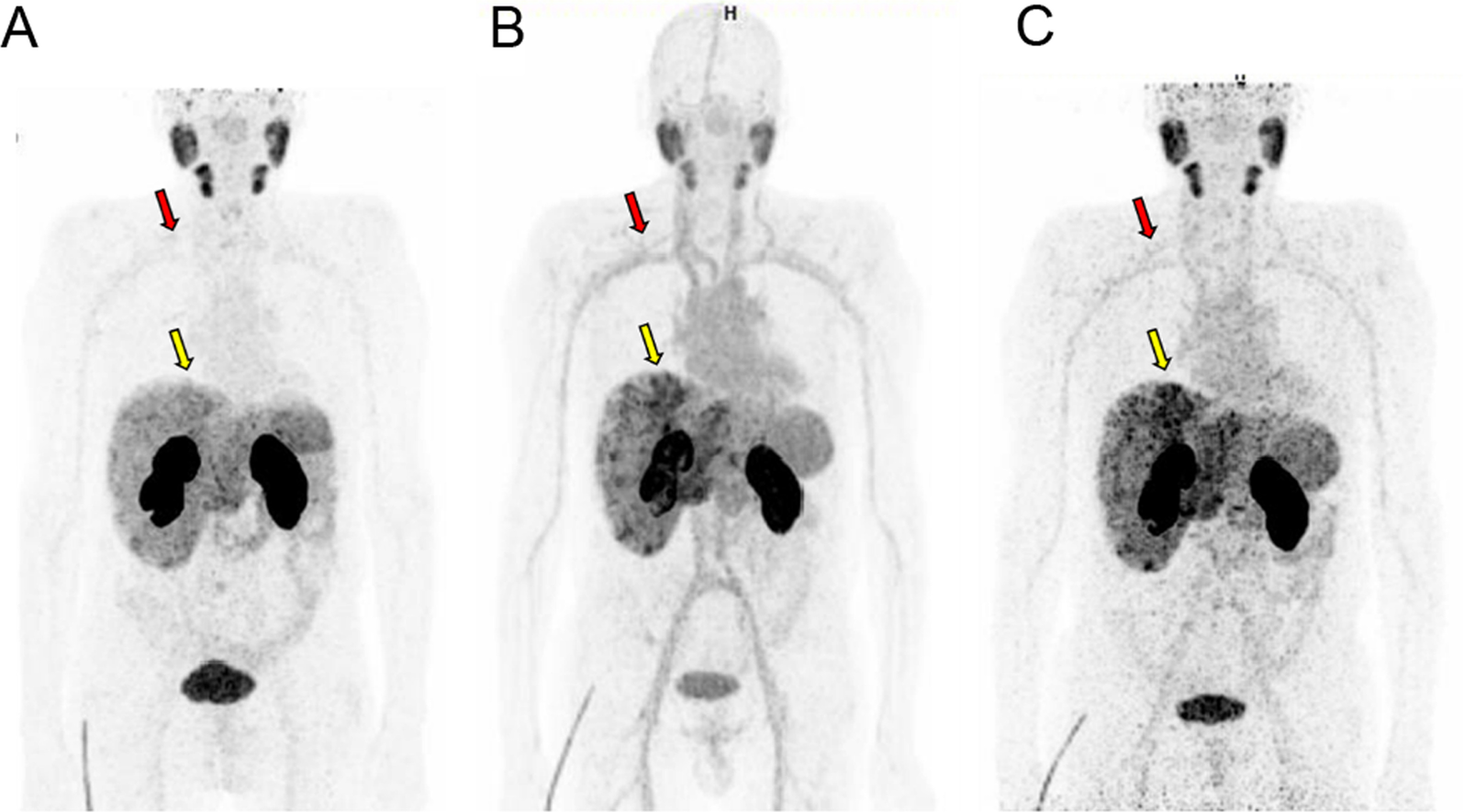 Fig. 5