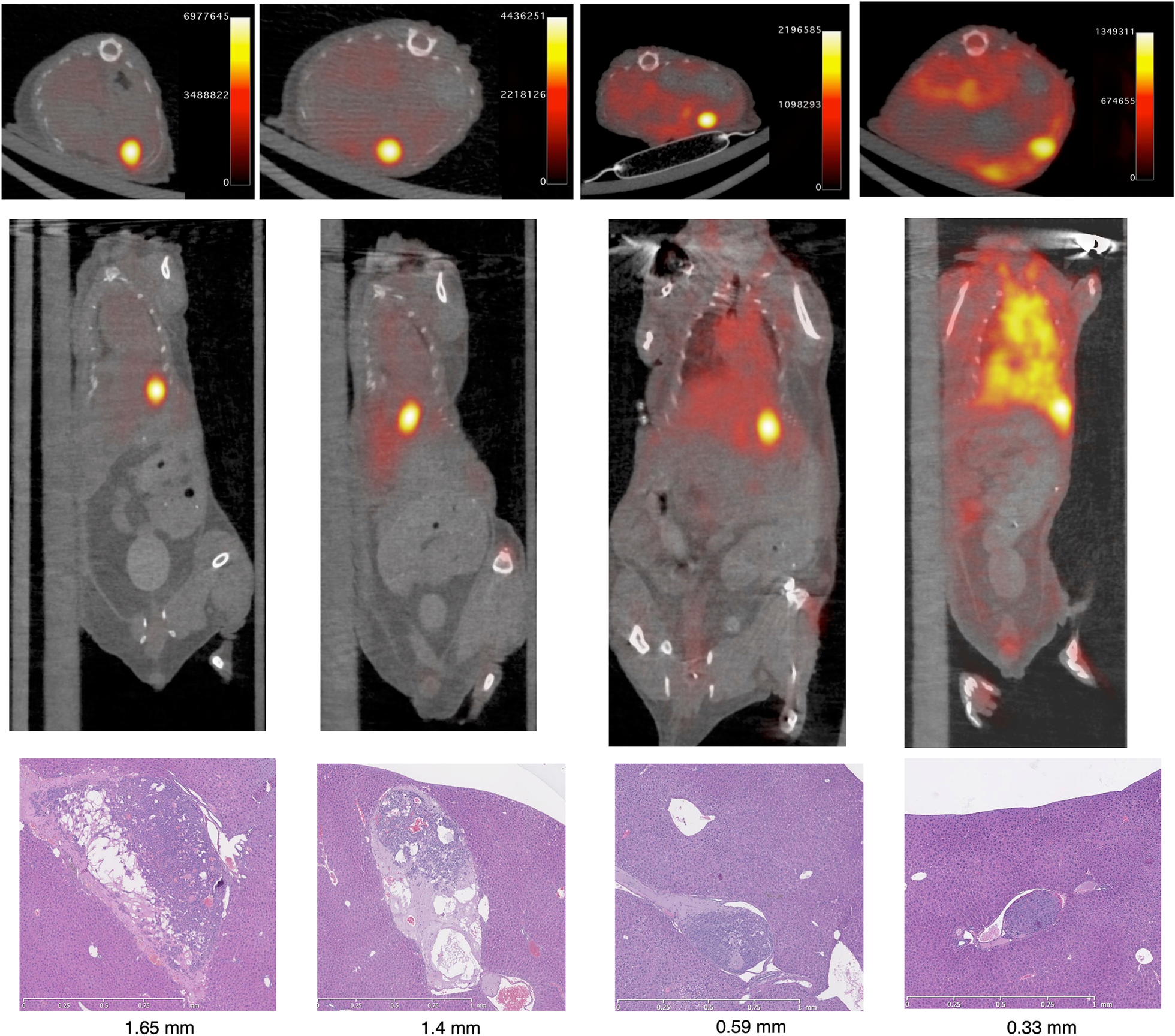 Fig. 3