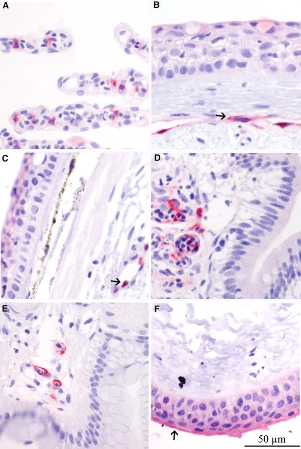 Figure 5