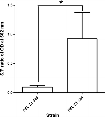 Figure 4