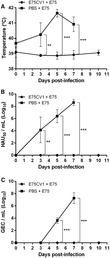 Figure 7